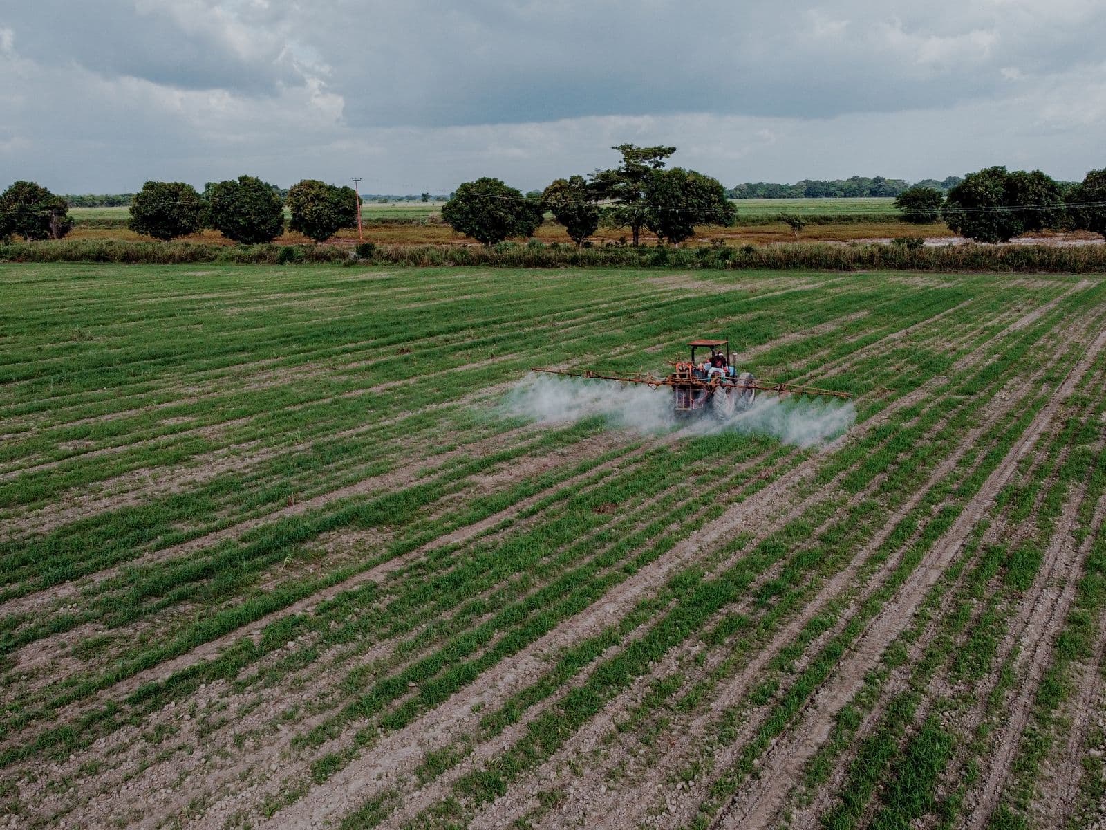 Tractor boom-spraying crop protection across a green field