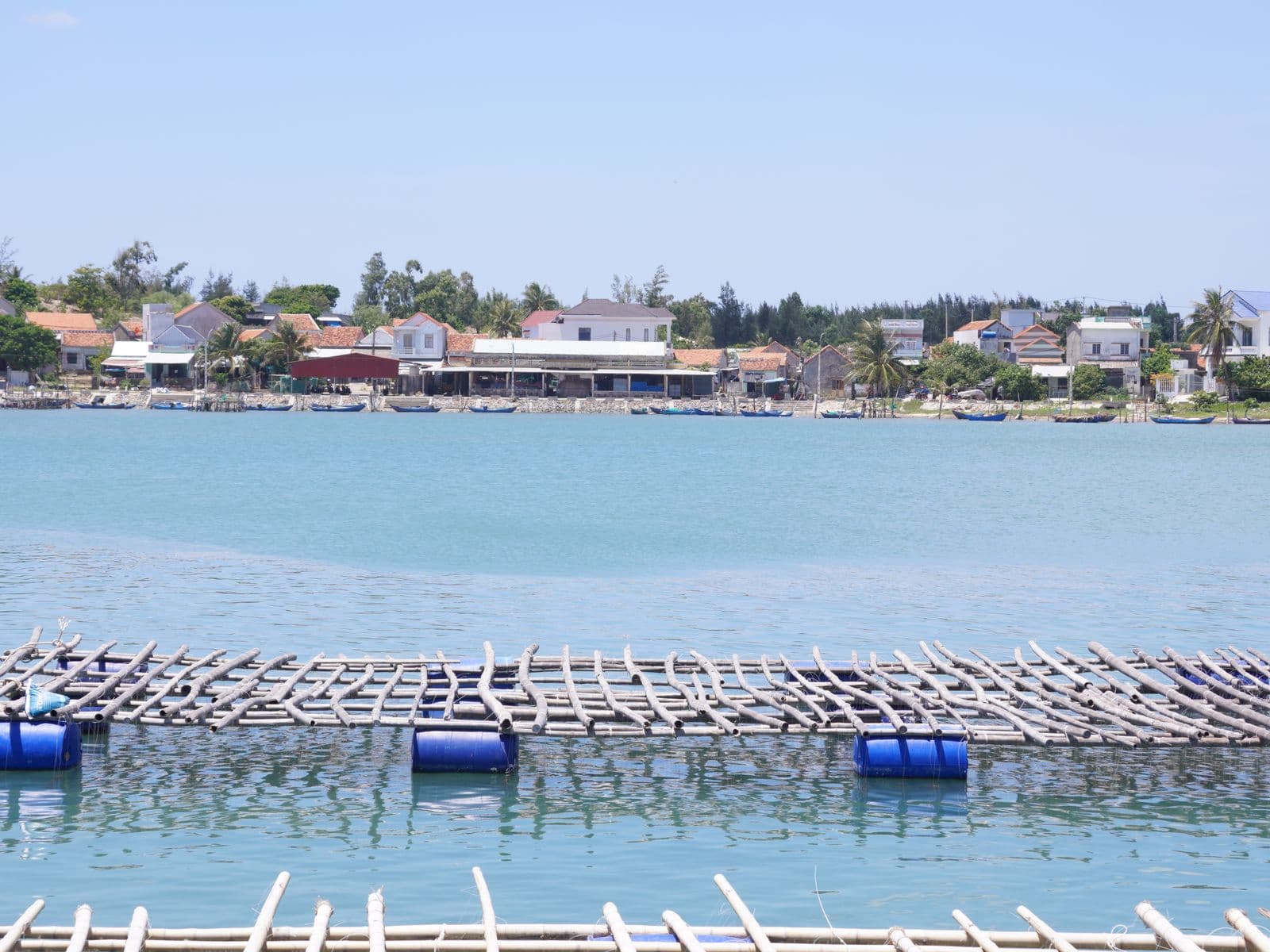 Coastal aquaculture farm with floating rafts