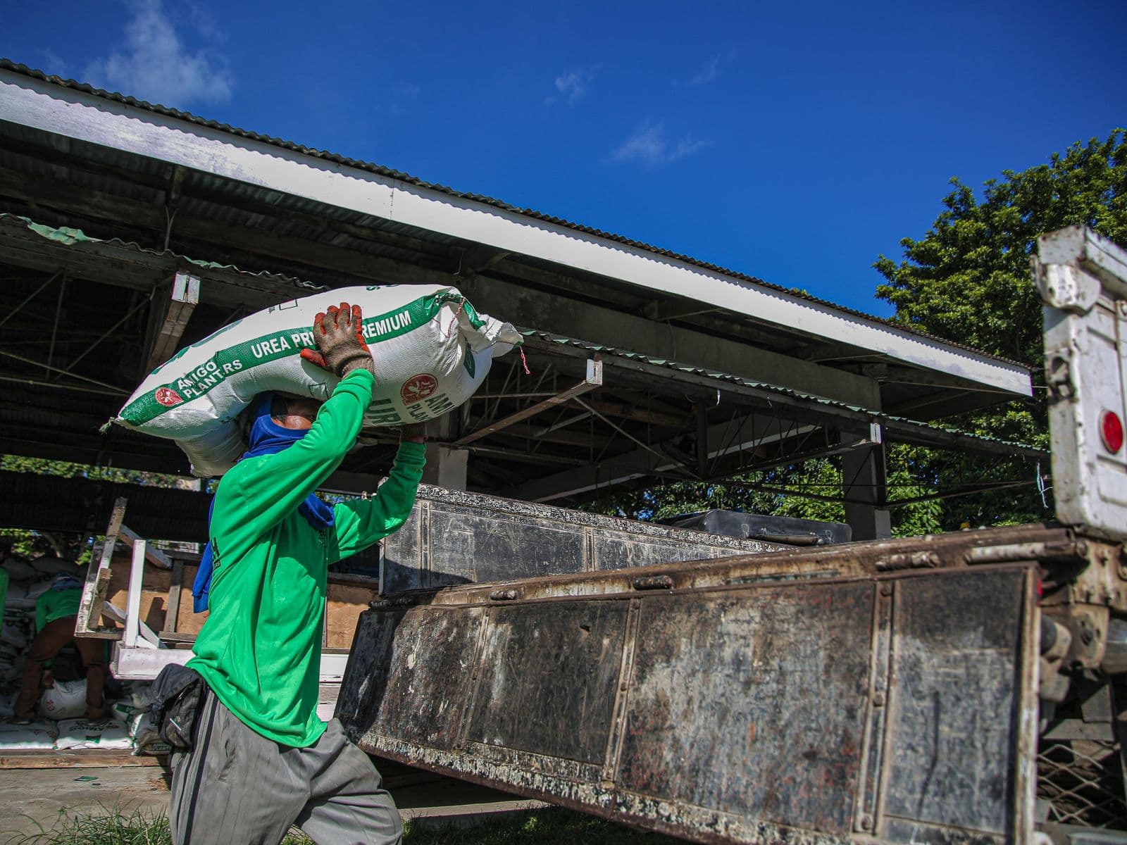 Worker loading a urea fertilizer bag onto a distribution truck